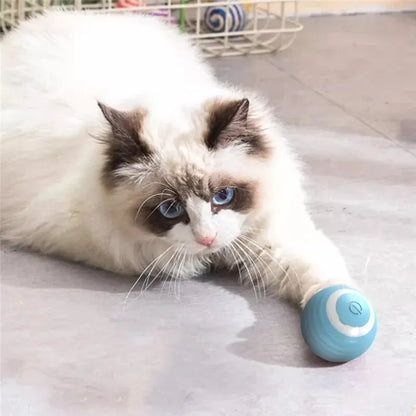 Whisker Wonder Ball