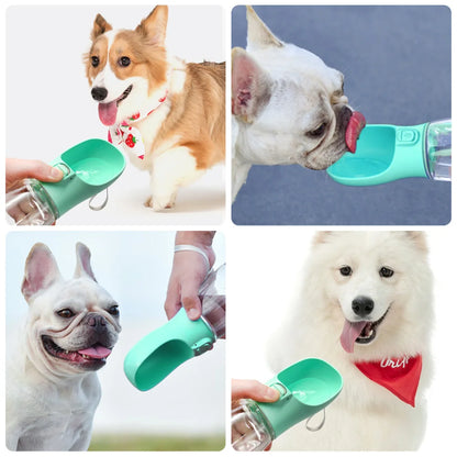 On-the-Go Pet Bottle