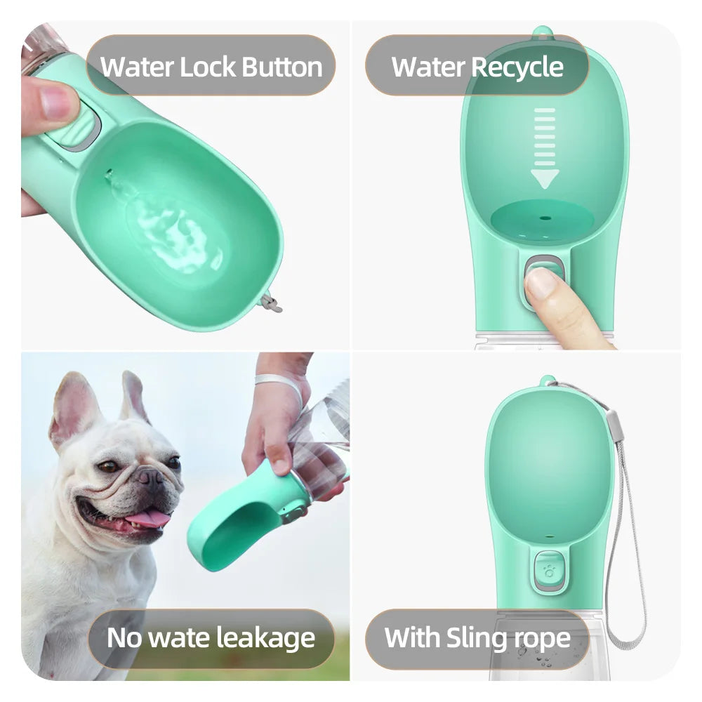 On-the-Go Pet Bottle